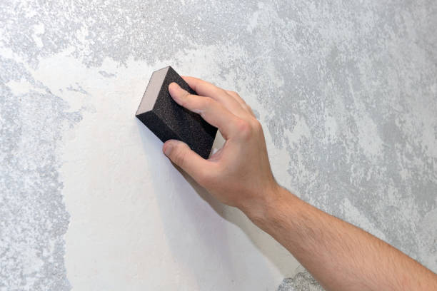  St Anne, IL Mold Removal Pros