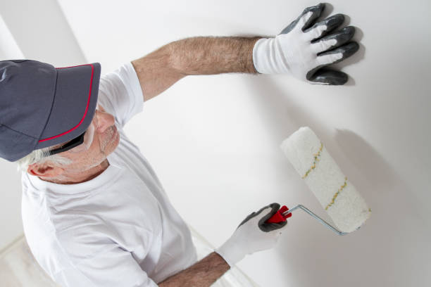 Mold Odor Removal Services in St Anne, IL