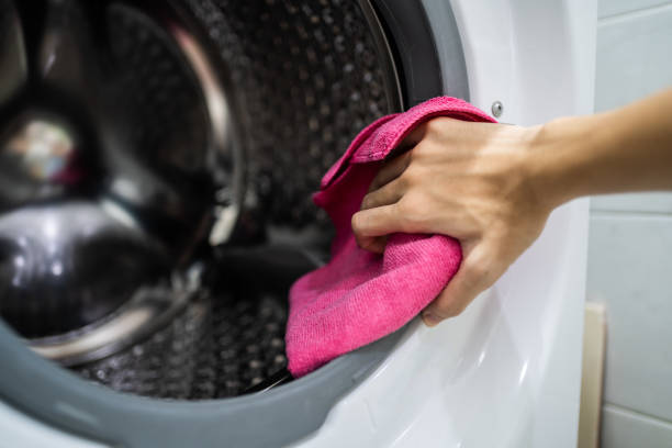 Best Dehumidification Services  in St Anne, IL