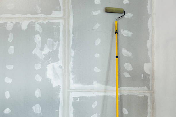 Best Mold Prevention Services  in St Anne, IL