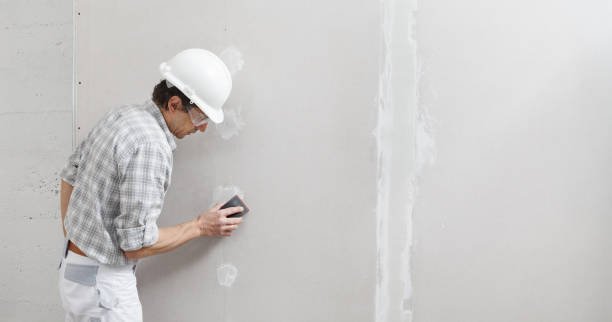 Forensic Mold Investigation in St Anne, IL