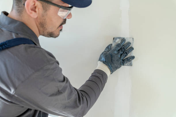 Best Attic Mold Removal  in St Anne, IL