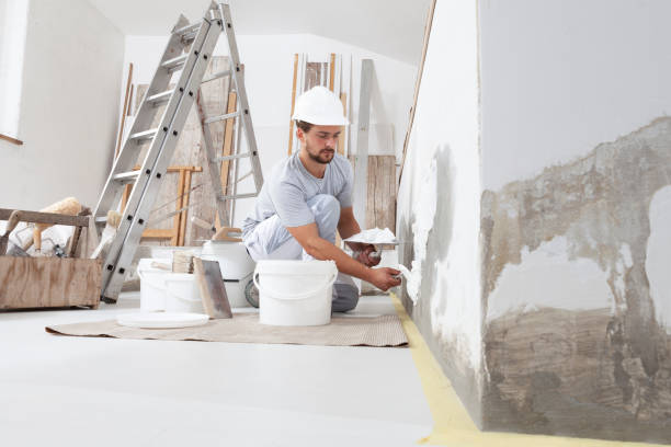 Best Residential Mold Inspection & Testing  in St Anne, IL