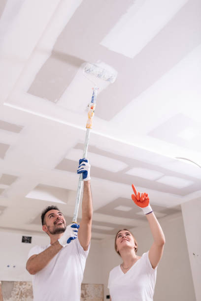 Best Black Mold Removal  in St Anne, IL