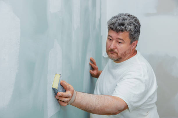 Best Mold Remediation for Healthcare Facilities  in St Anne, IL