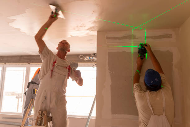 Best Commercial Mold Inspection  in St Anne, IL