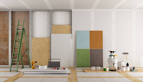 Reliable St Anne, IL Mold Removal Solutions