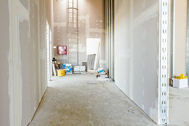 Best Asbestos and Lead Testing During Mold Inspection  in St Anne, IL